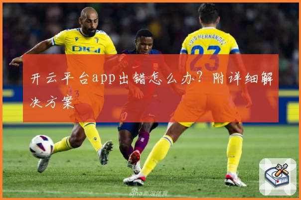 开云平台app出错怎么办？附详细解决方案