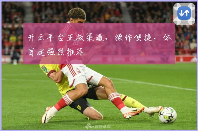 开云平台正版渠道，操作便捷，体育迷强烈推荐