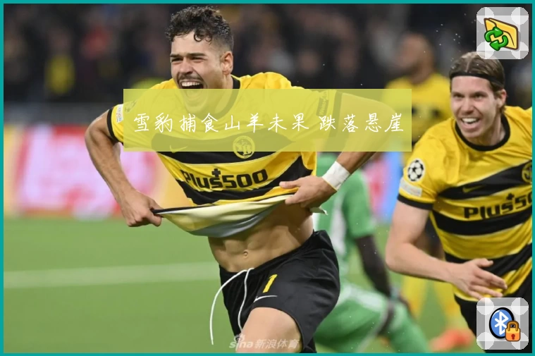 雪豹捕食山羊未果 跌落悬崖